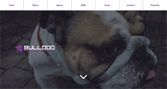 Desktop Screenshot of financebulldog.com